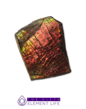 Ammolite