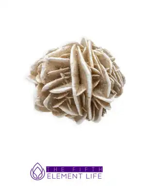 Desert Rose Meanings, Healing Benefits and Uses