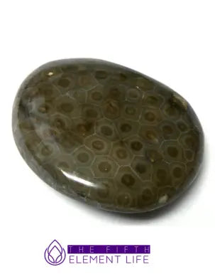 Petoskey Stone