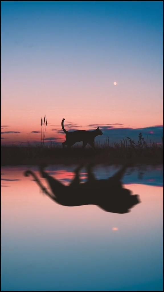252 Powerful One Word Affirmations To Begin Manifesting – Hello-Fearless