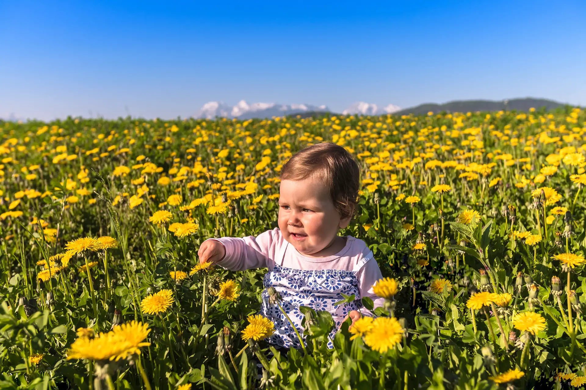 May Is Spring 77 Beautiful May Quotes To Bring You Spring Flowers – Hello-Fearless