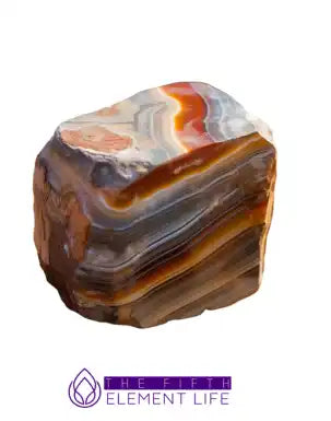 petrified wood